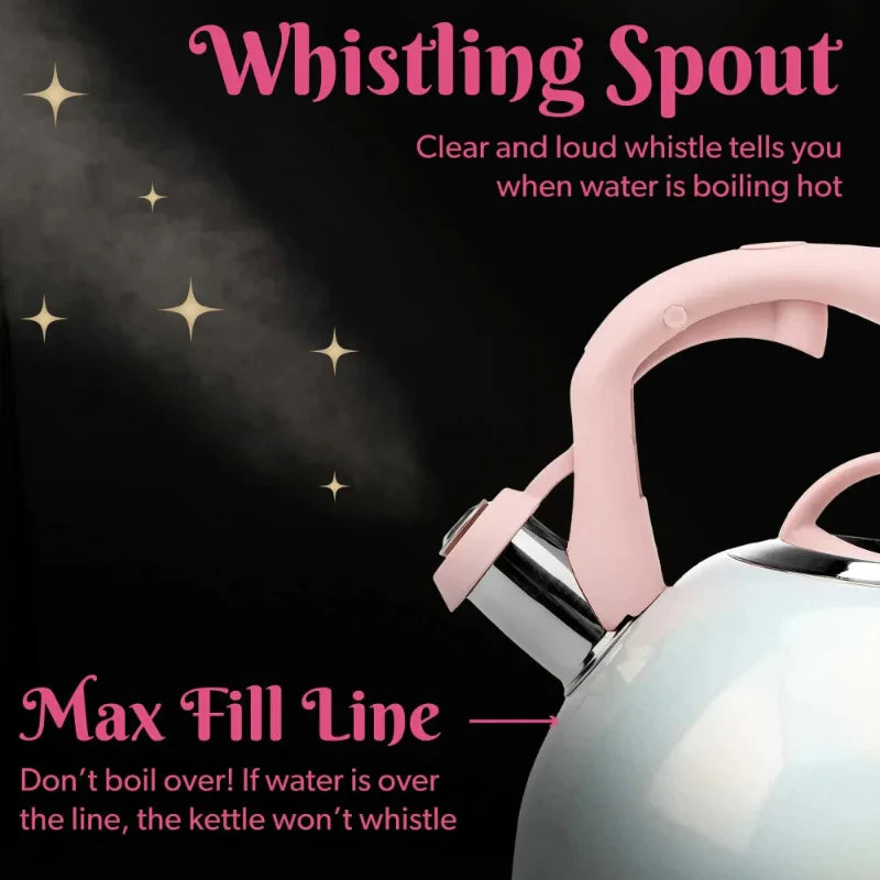 Stainless Steel Whistling Spout Tea Kettle Kitchen Stovetop Kettle