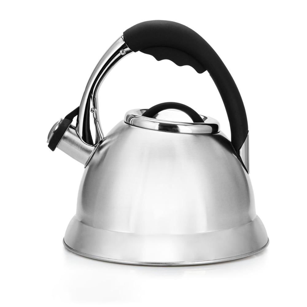 Stainless Steel Whistling Kettle Coffee Pot Stovetop Water Pot
