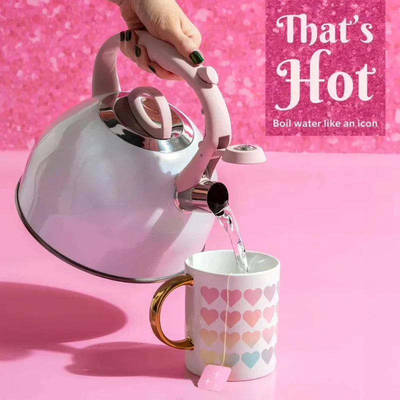 Stainless Steel Whistling Spout Tea Kettle Kitchen Stovetop Kettle