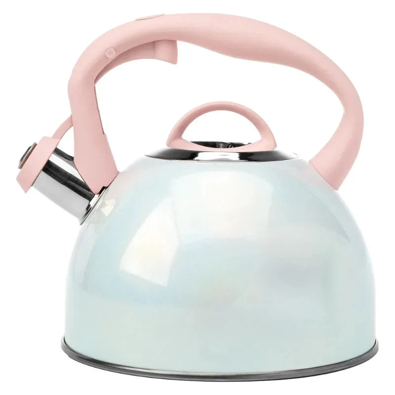Stainless Steel Whistling Spout Tea Kettle Kitchen Stovetop Kettle